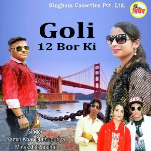 Goli 12 Bor Ki image