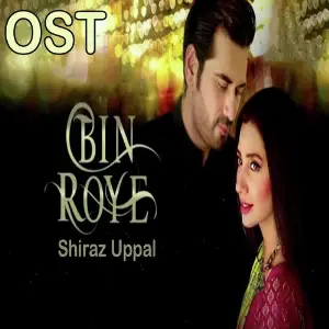 Bin Roye (From Bin Roye) image