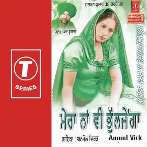 Mera Naa Vi Bhulenga image