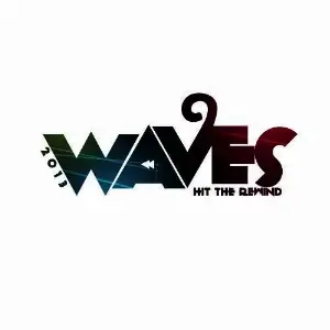 Waves 2013 image