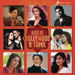 Best of Bollywood  Tamil image