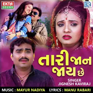Tari Jaan Jaay Chhe image