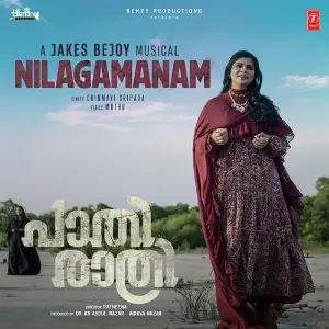Nilagamanam (From Paathirathri) image