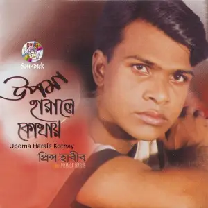 Upoma Harale Kothay image