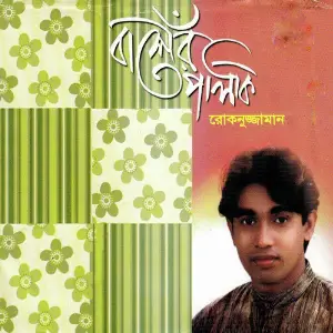 Basher Palki image