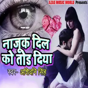 Dil Ke Sau Tukade Atul Thakur