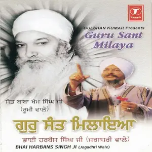 Guru Sant Milaya image