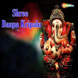 Shree Baapa Kripalu image