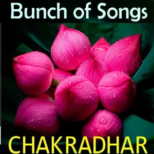 Bunch of Songs image