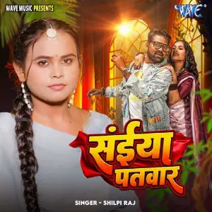 Saiya Patwar image