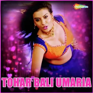 Tohar Bali Umaria image