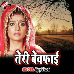 Teri Bewafai image