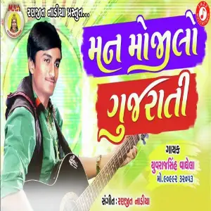 Garbe Ni Pyari Pyari Raat Shailesh Damor