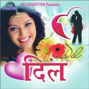 Dil image