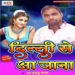 Dilli Se Aajana image