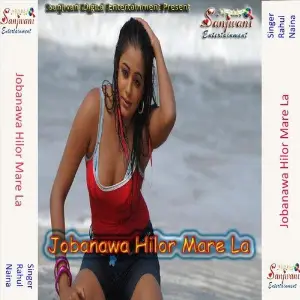 Jobanawa Hilor Mare La image