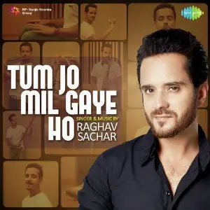 Tum Jo Mil Gaye Ho - Raghav Sachar image