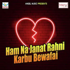 Ham Na Janat Rahni Karbu Bewafai image