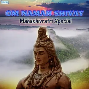 Om Namah Shivay - Mahashivratri Special image