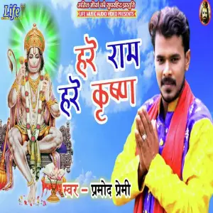 Hare Rama Hare Krishna image