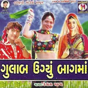 Gulab Ugyu Baagma image