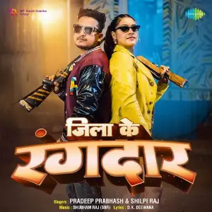 Jila Ke Rangdar image