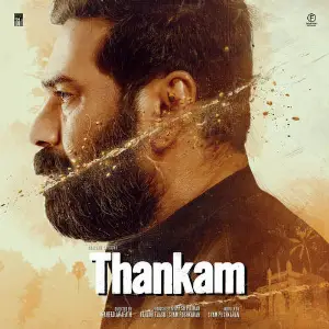 Vicharamazha (From Thankam) image