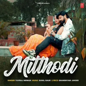 Mitthodi image