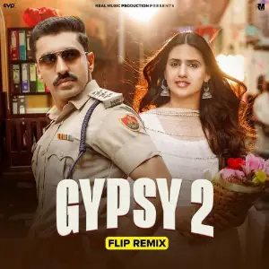Gypsy 2 (Flip Remix) image