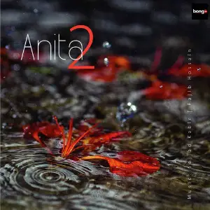 Anita, Vol. 2 image