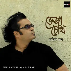 Bheja Chokh image