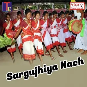 Sargujhiya Nach image