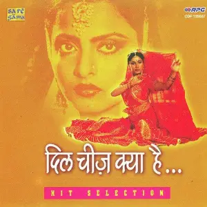 Dil Cheez Kya Hai image