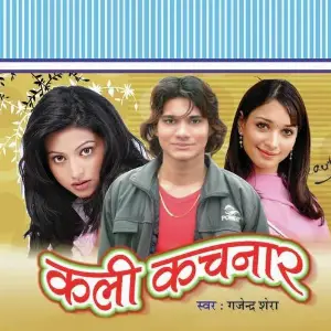 Kali Kachnaar image