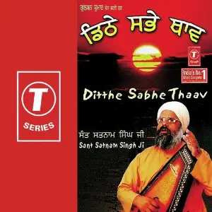 Ditthe Sabhe Thaav image