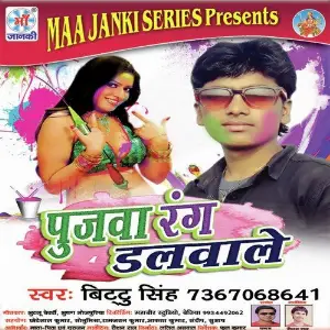 Pujava Rang Dalvale image