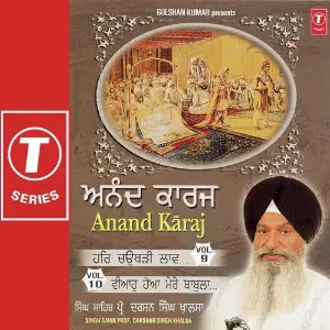 Anand Karaj (Vol. 10) image