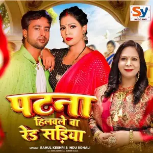 Patna Hilawale Baa Red Sariya image