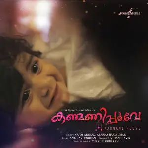 Kanmani Poove image