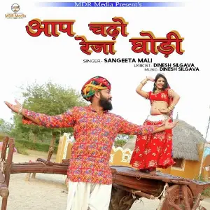 Aap Chado Reja Ghodi image