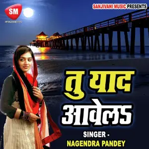 Tu Yaad Awela image