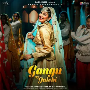 Gangu Ki Jalebi image