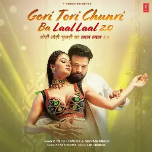 Gori Tori Chunri Ba Laal Laal 2.0 image