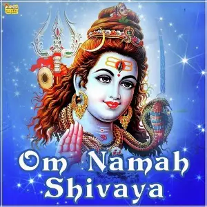 Om Namah Shivaya image