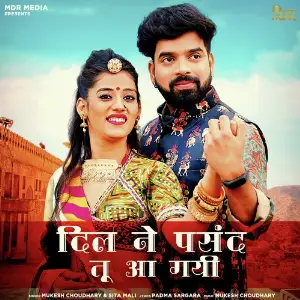 Dil Ne Pasand Tu Aa Gayi image