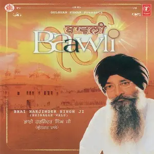 Baawli image