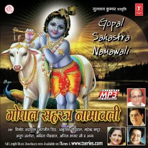 Saajan - With Jhankar Beats Various Artists