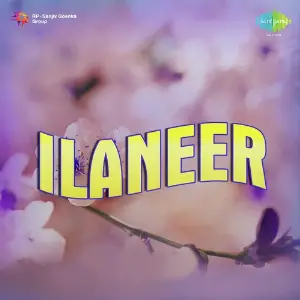 Ilaneer image
