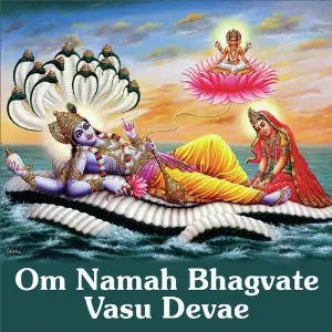 Om Namah Bhagvate Vasu Devae image