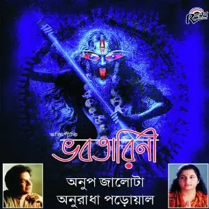 Bhabotarini image